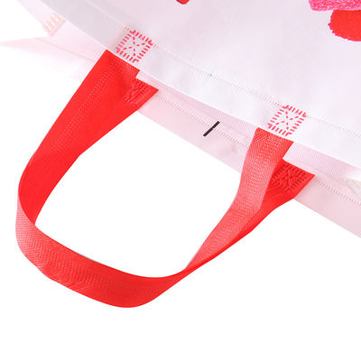 120GSM Laminated Non Woven Bag