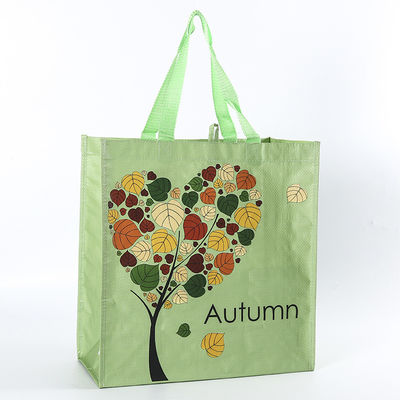 Reusable PP Woven Bag