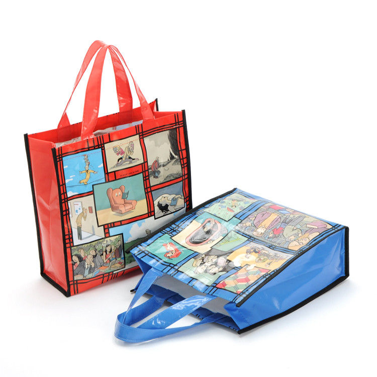 Reusable Promotional Shopping Bag