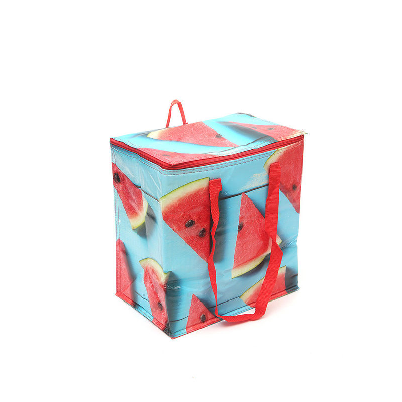 Waterproof Printed Aluminum Foil Non Woven Picnic Cooler Bag